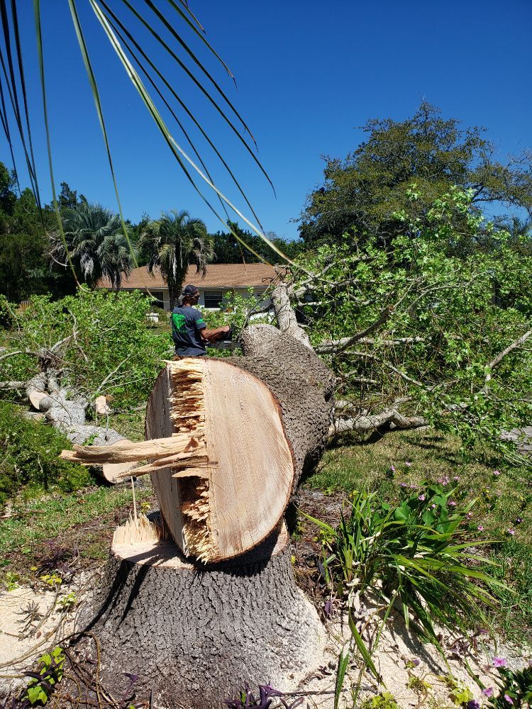 WCH Debris Removal