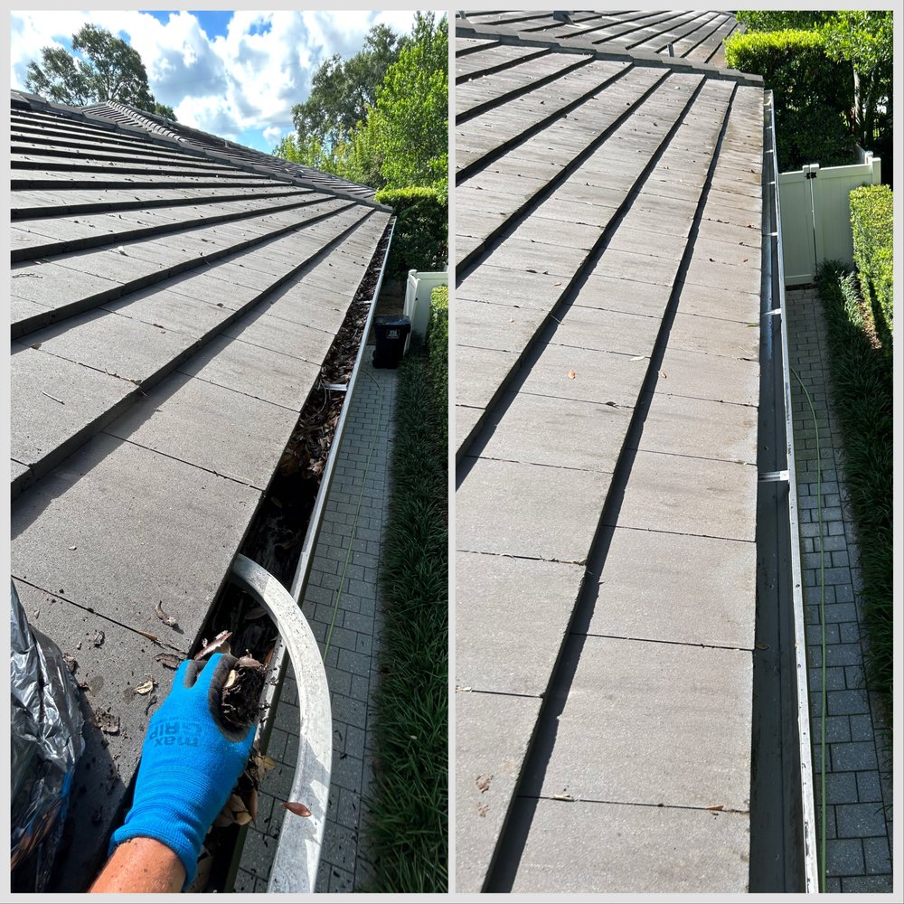 Pro Cleaning Action