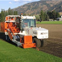 Lavington Turf Farms 10 Photos Nurseries Gardening 5770 Photo Of Lavington Turf Farms Coldstream Bc Canada