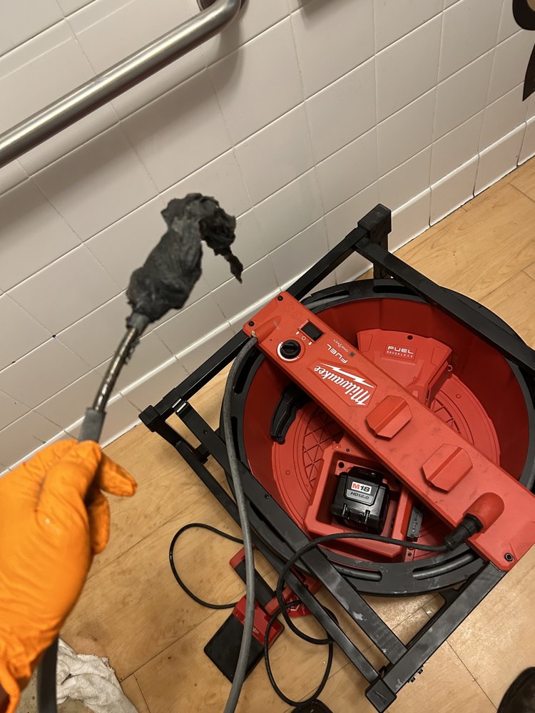 Loyal Plumbing and Drains