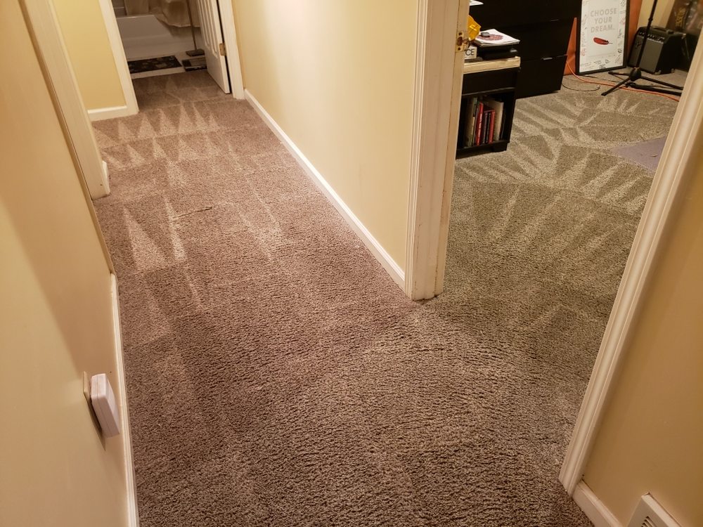 Tiger Paws Carpet & Upholstery Cleaning