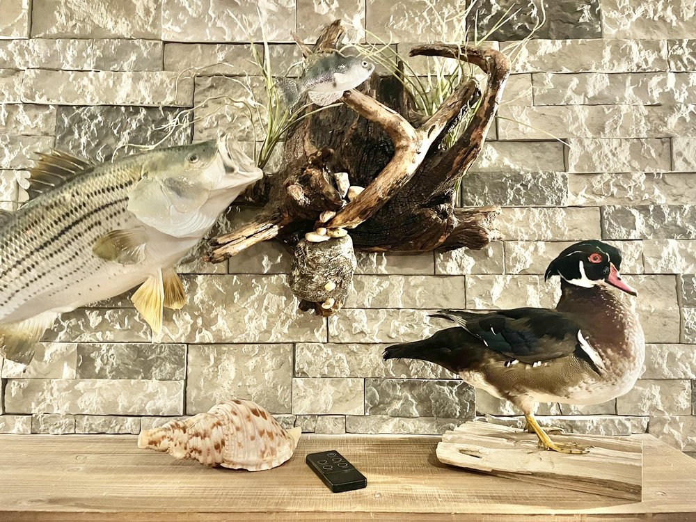 The Hoof, Fin & Fowl