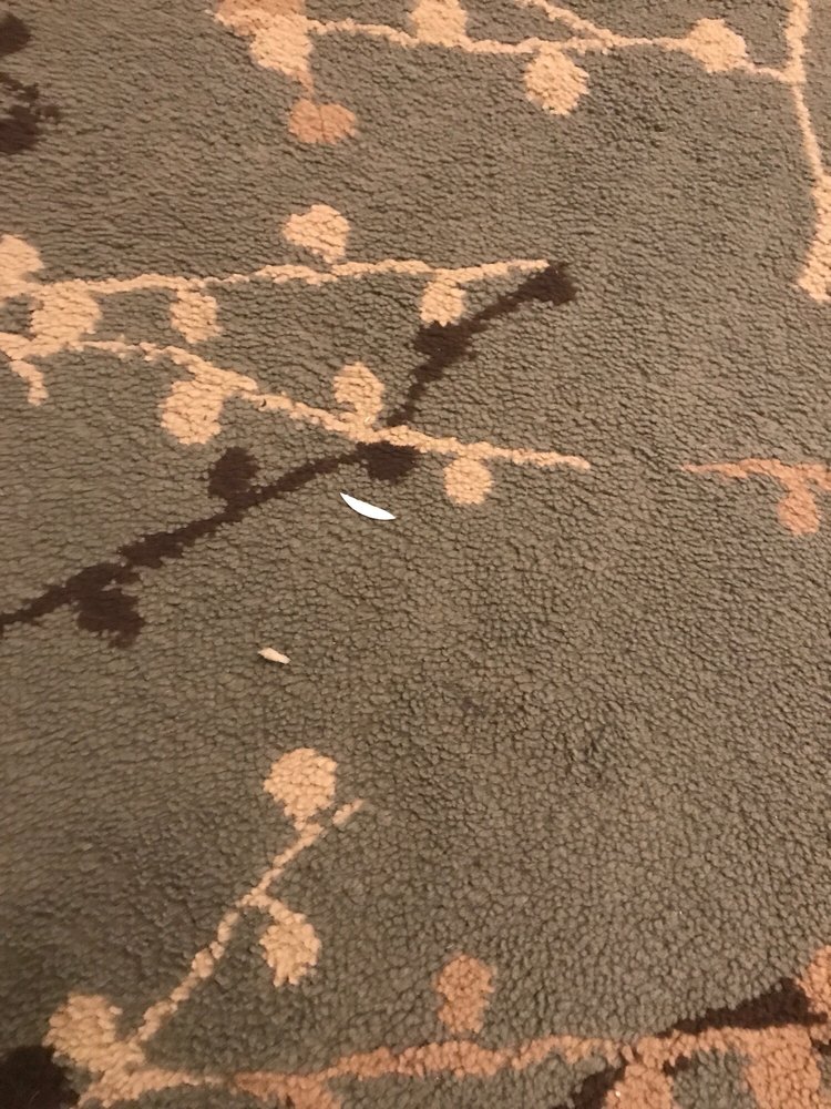 The Clean Queen Cleaning Service