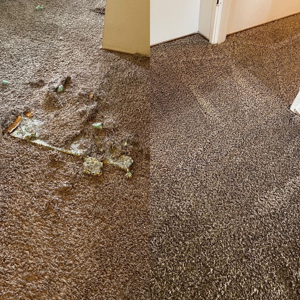 Davis Woodland Carpet Care