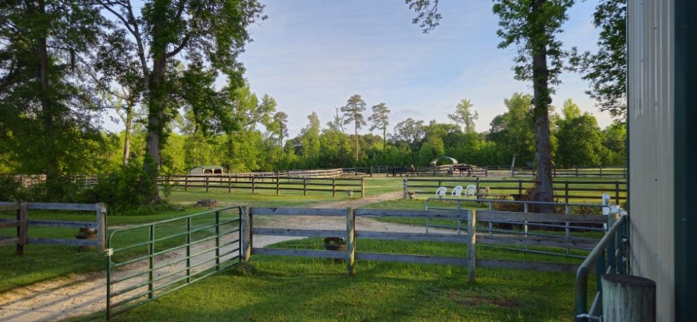 SEF Landscaping And Irrigation