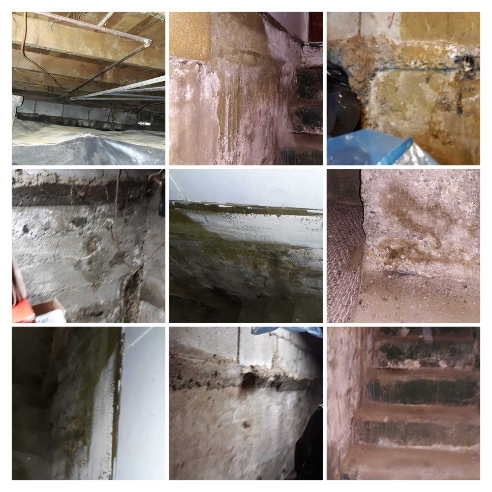 Sun Pacific Services