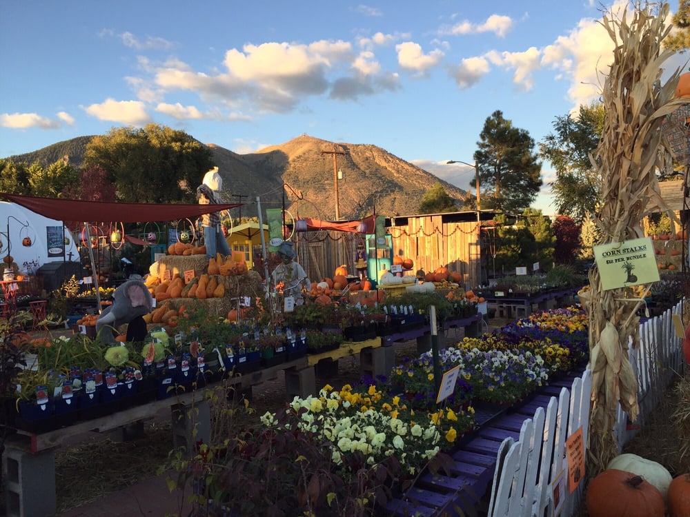 Viola’s Flower Garden Nurseries & Gardening 2654 E Route 66