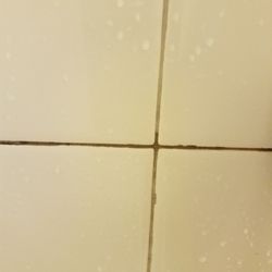 photo of hilton garden inn savannah airport savannah ga united states shower - Hilton Garden Inn Savannah Airport photo of hilton garden inn savannah airport savannah ga united states shower - Hilton Garden Inn Savannah Airport