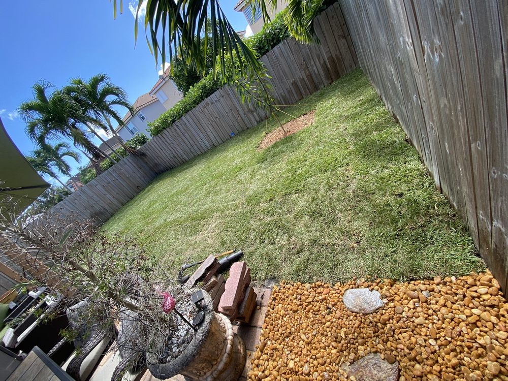 Knockout Lawn & Landscape