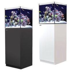 barrier reef aquariums 67