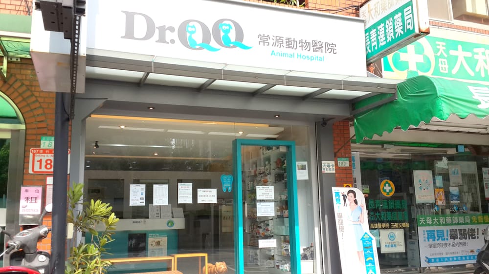 Dr Qq常源動物醫院gift Card 士林區 Tpe Giftly