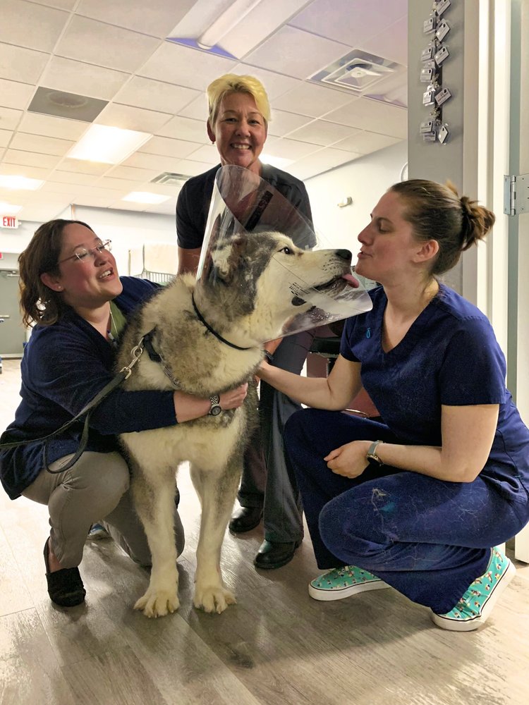 EMMAvet Veterinary Urgent Care