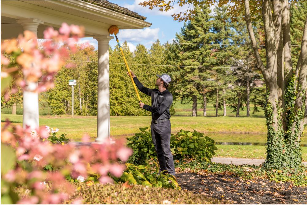 Insight Pest Solutions