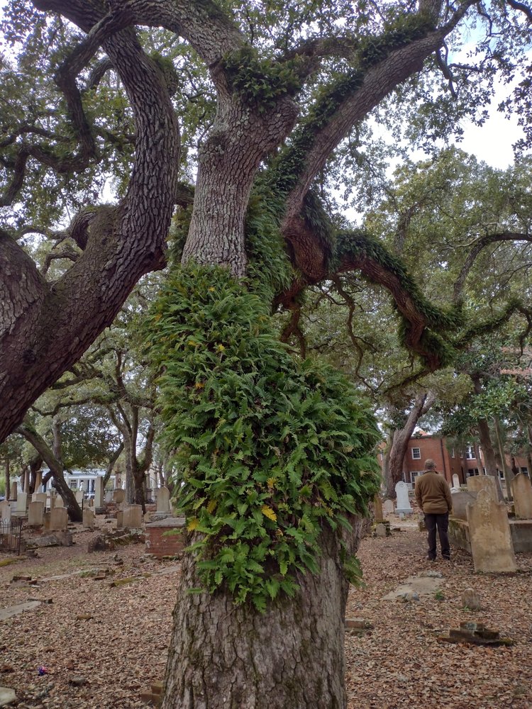 Olde Beaufort Farmers Market