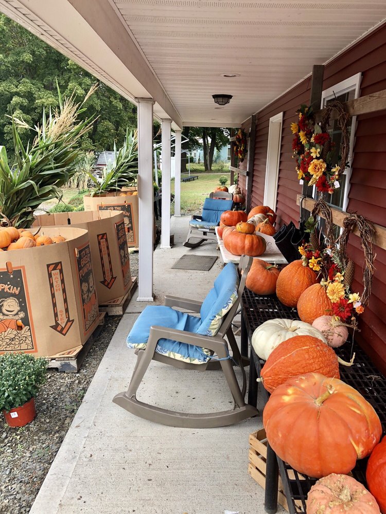 Sunflower Farm 12 Photos 10 Reviews Local Flavor 767 Derby Sunflower Farm 12 Photos 10 Reviews Local Flavor 767 Derby Ord Rd Orange Ct Phone Number Last Updated December 17 2018 Yelp