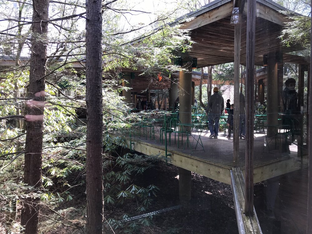 Fallingwater Cafe 13 Photos & 21 Reviews Sandwiches 1491 Mill Run