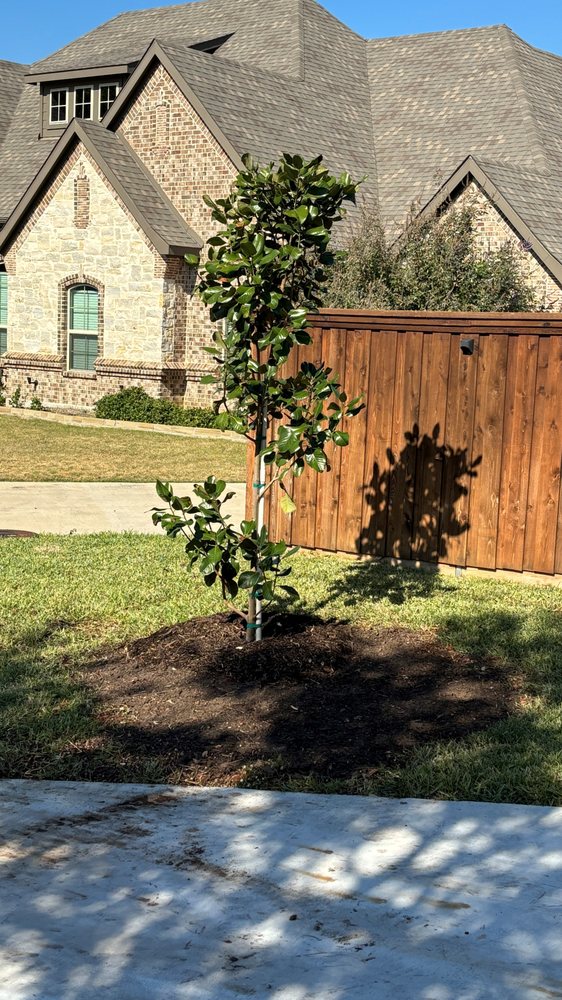 Valdez Tree Service