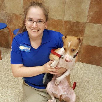 petsmart bather