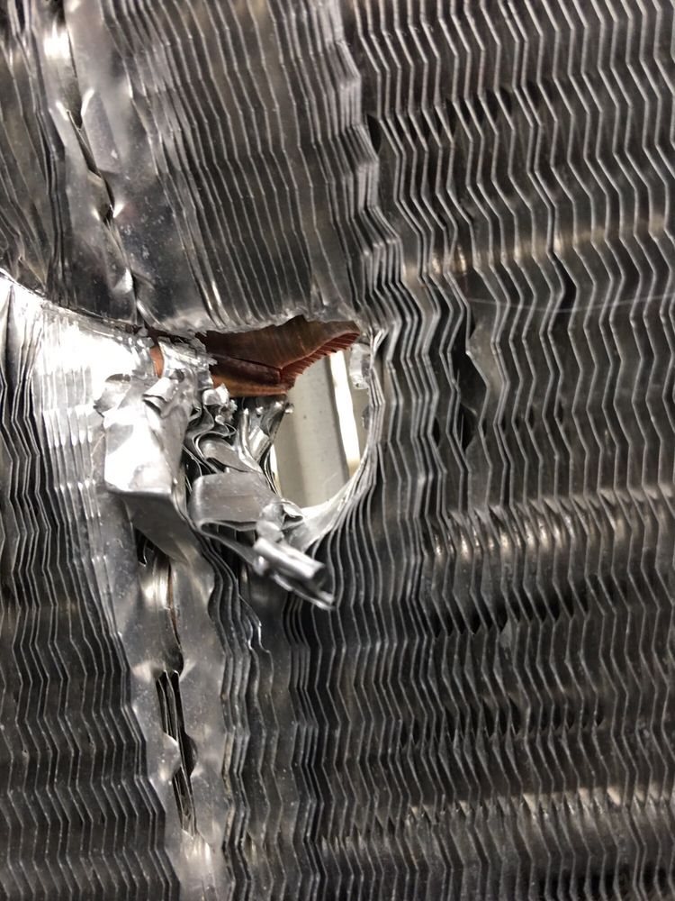 image of business Moran & Sons