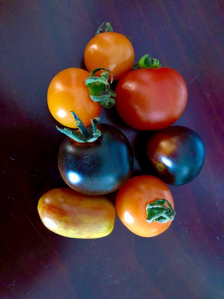 Harvest Community Foods