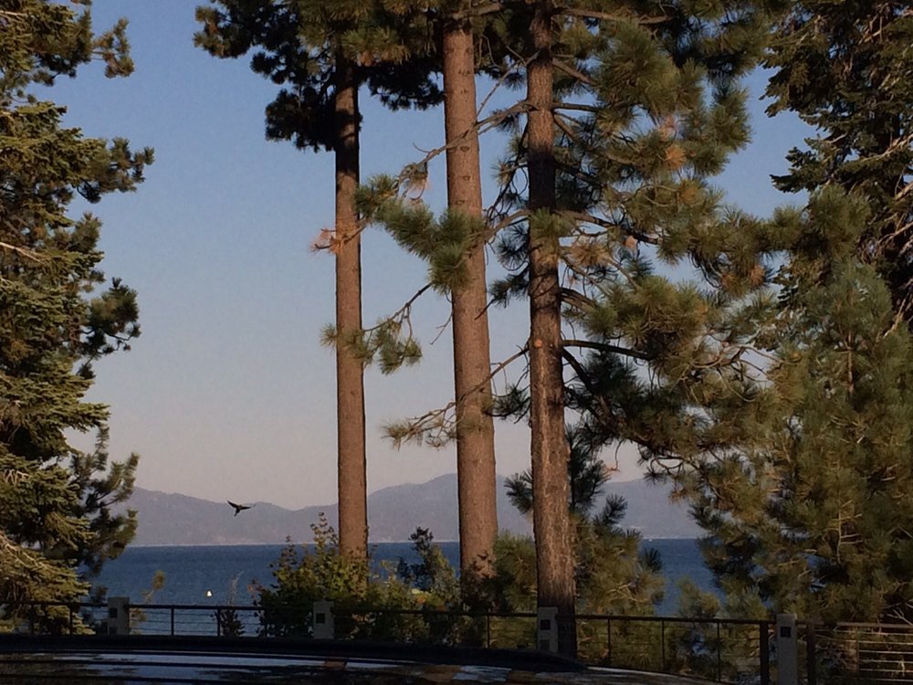 The Blue Agave 172 Photos & 303 Reviews Salad 425 N Lake Blvd