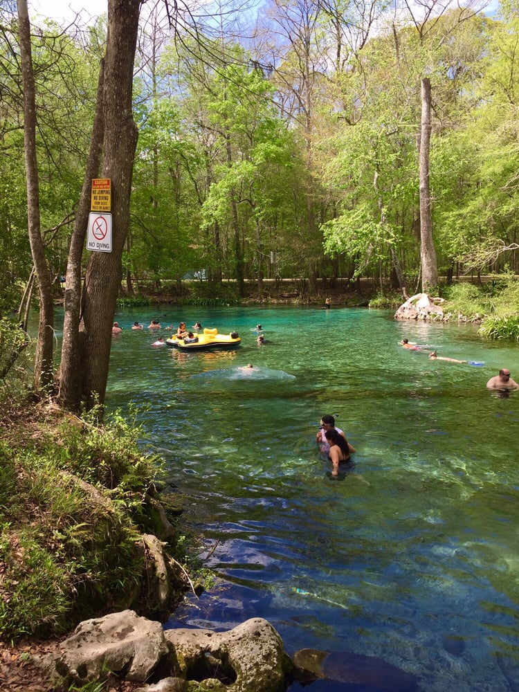 Ginnie springs Yelp