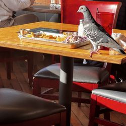 Longboard’s Grill photo