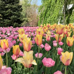 Photos for Brookside Gardens - Yelp