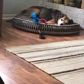 Hart S Carpet Cleaning 35 Photos 162 Reviews