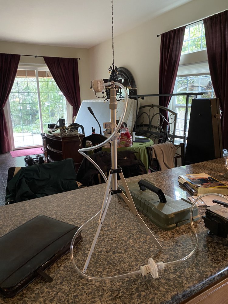 Professional Mold Inspections