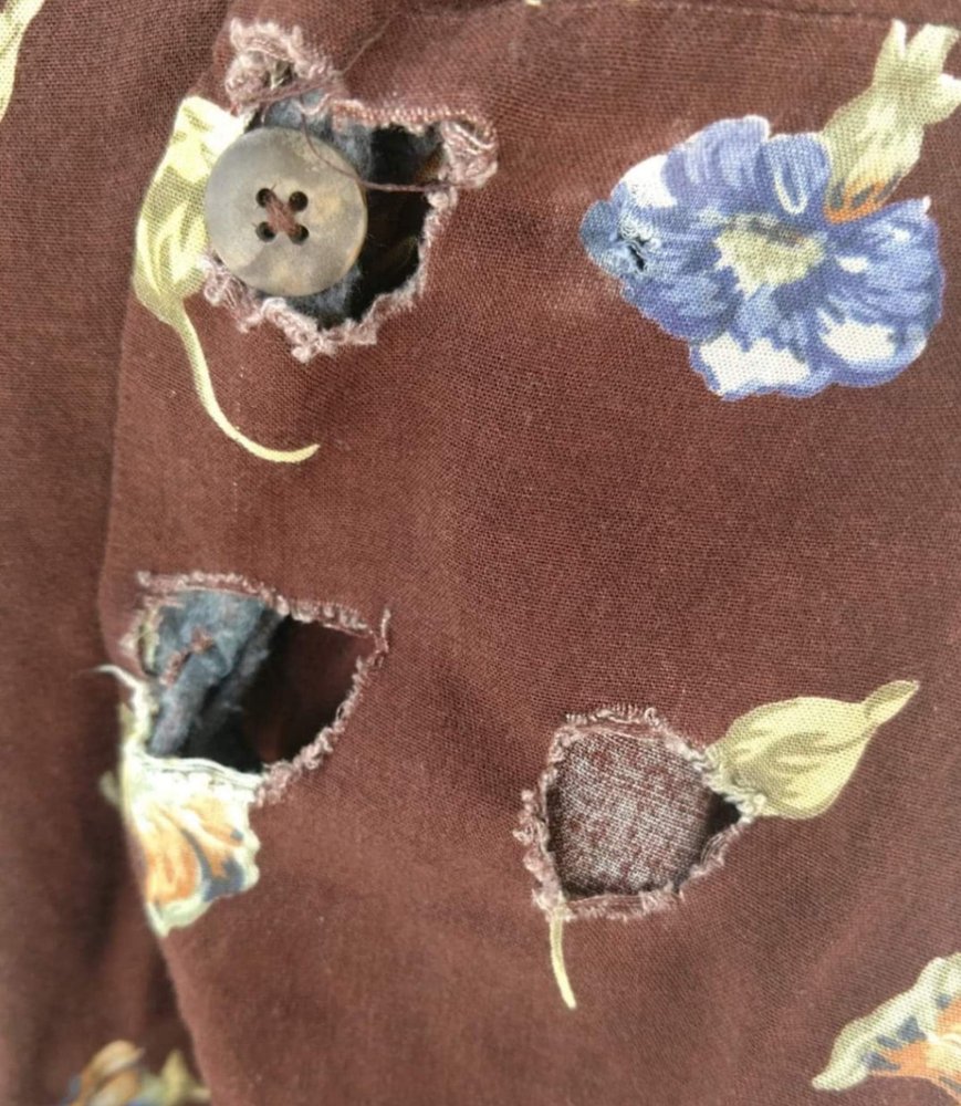 The Lifestyle Laundry