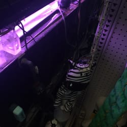 rick s fish pet supply 11 photos 25 reviews pet rick s fish pet supply 11 photos 25 reviews pet