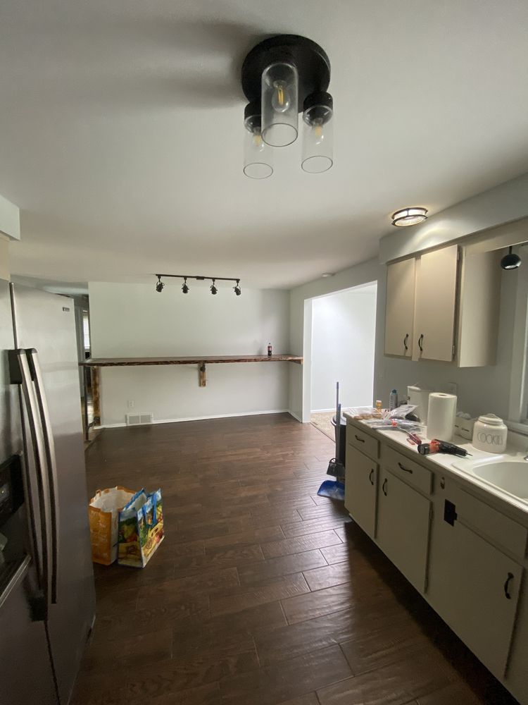 Dimmicks quality painting