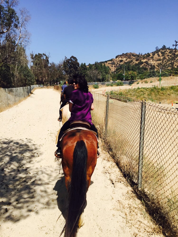 LA Horse Rentals 59 Photos & 75 Reviews Horseback Riding 1850