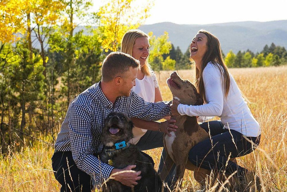 image of business Kissing Camels Family Dentistry