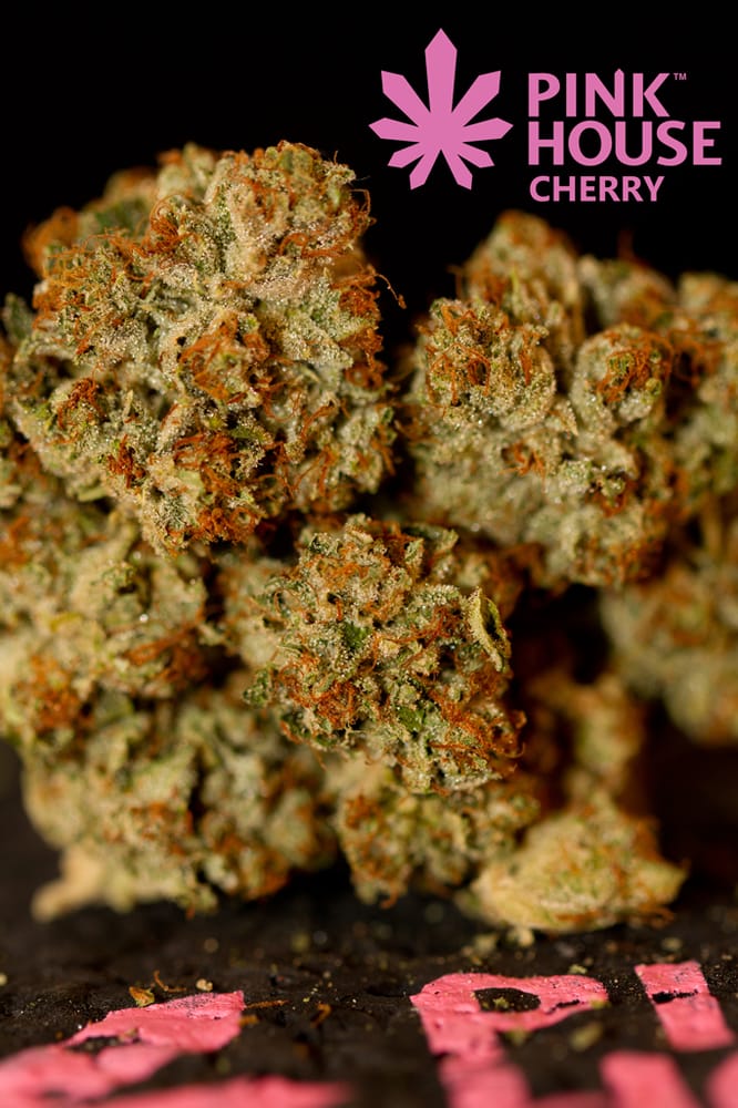 Jupiter Og Grown Locally By Pink House Blooms Is Known 7 Photos For Pink House Cherry