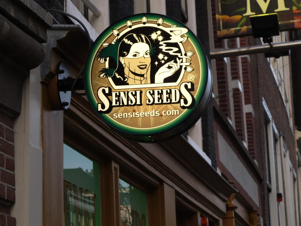 The Best Seed Bank In The Wordl Yelp