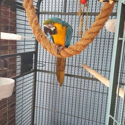 last place on earth pet store