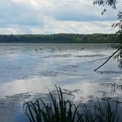 Silver Lake Ny >> Silver Lake State Park Lakes 4229 W Lake Rd Castile Ny Phone Silver Lake Ny >> Silver Lake State Park Lakes 4229 W Lake Rd Castile Ny Phone