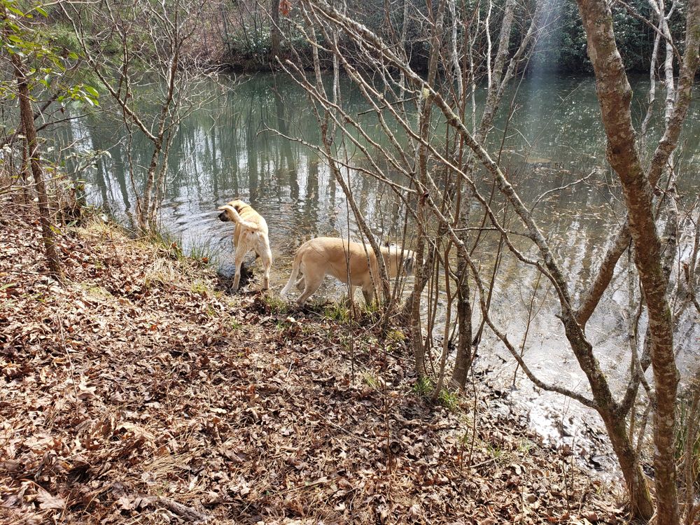 Angela Marino - CENTURY 21 Hi Alta