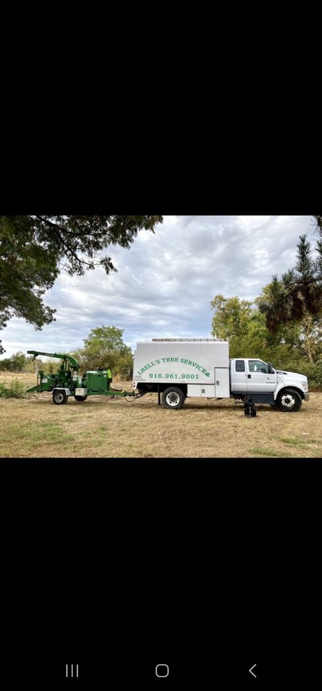  L Bell's Tree Service