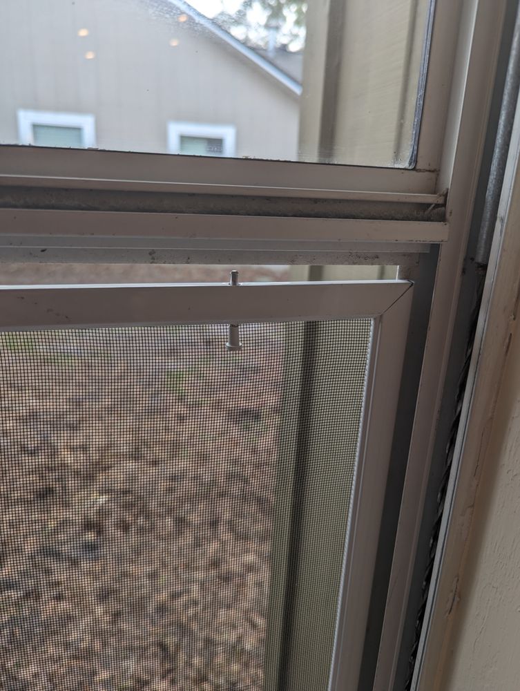 Windowman Amor