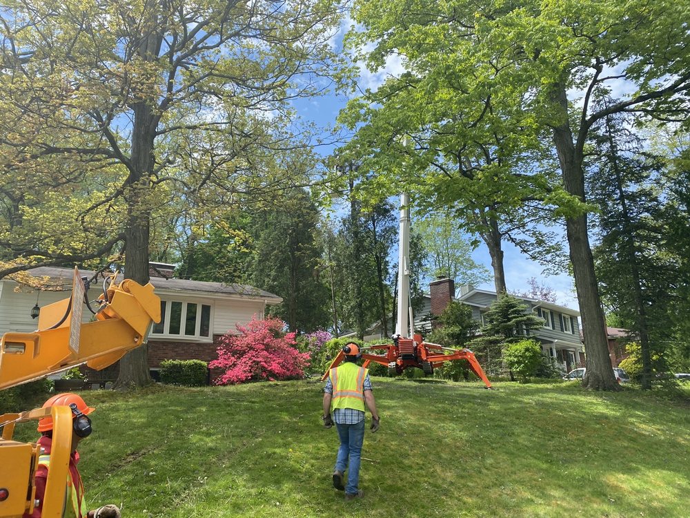 Hudson & Sons Tree Service