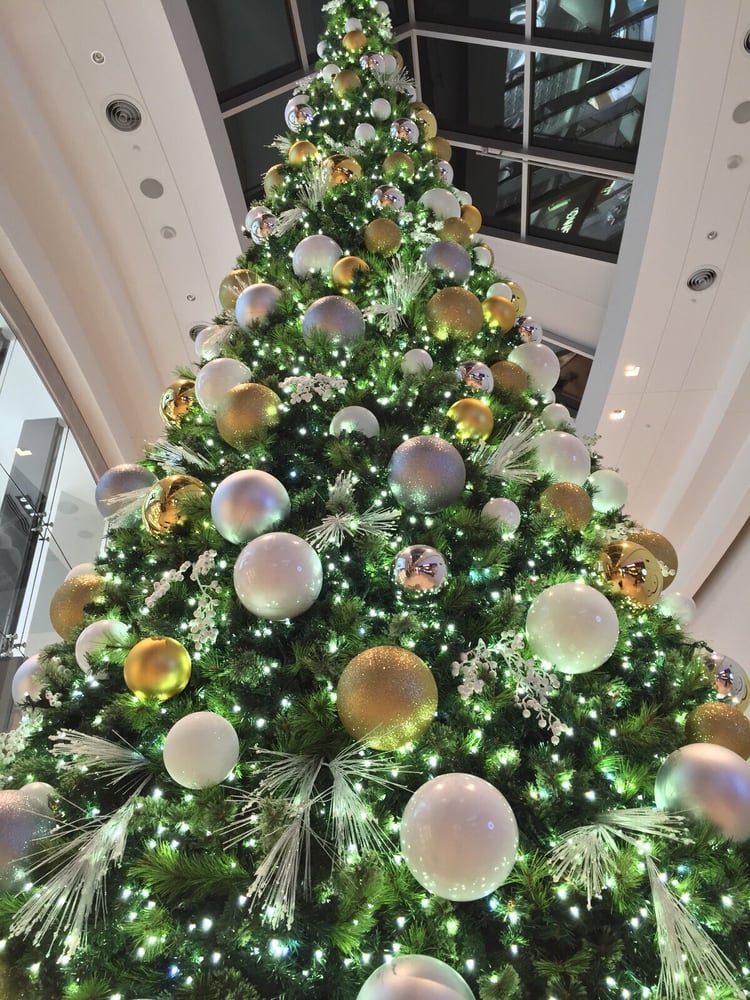 oh christmas tree yelp oh christmas tree yelp
