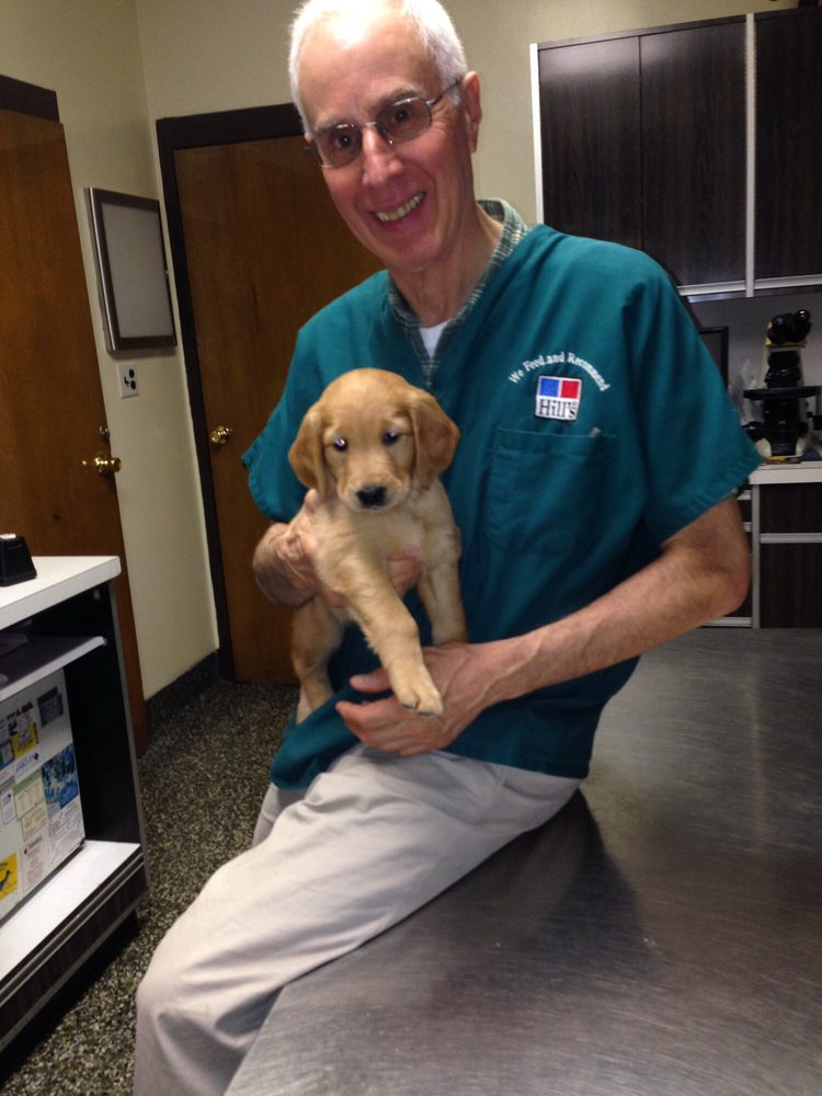 Crawford Animal Hospital of Lynbrook 26 Photos & 39 Reviews
