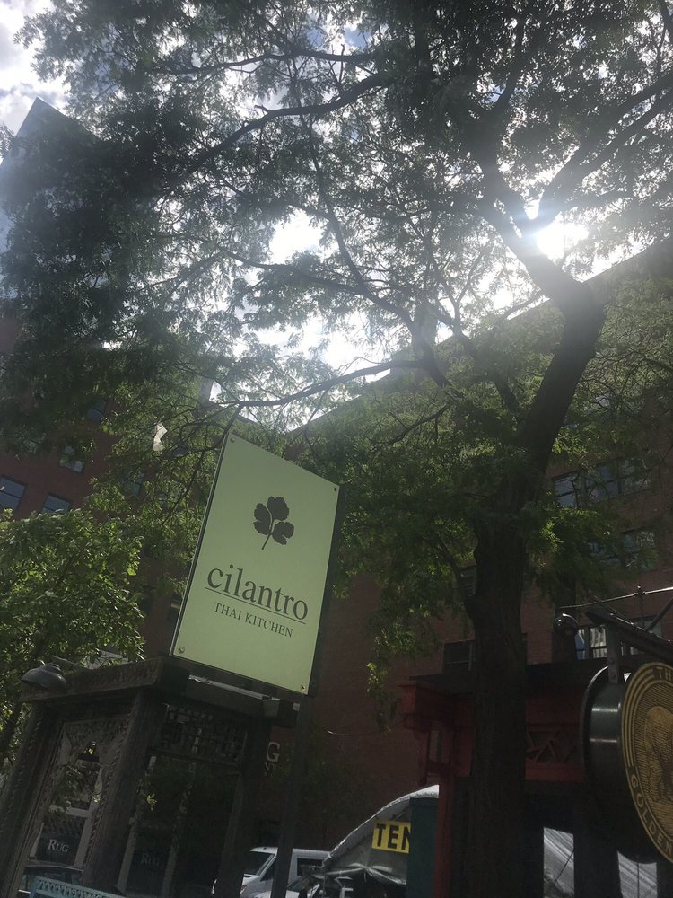 Cilantro Thai Kitchen 2019 All You Need To Know Before You Go