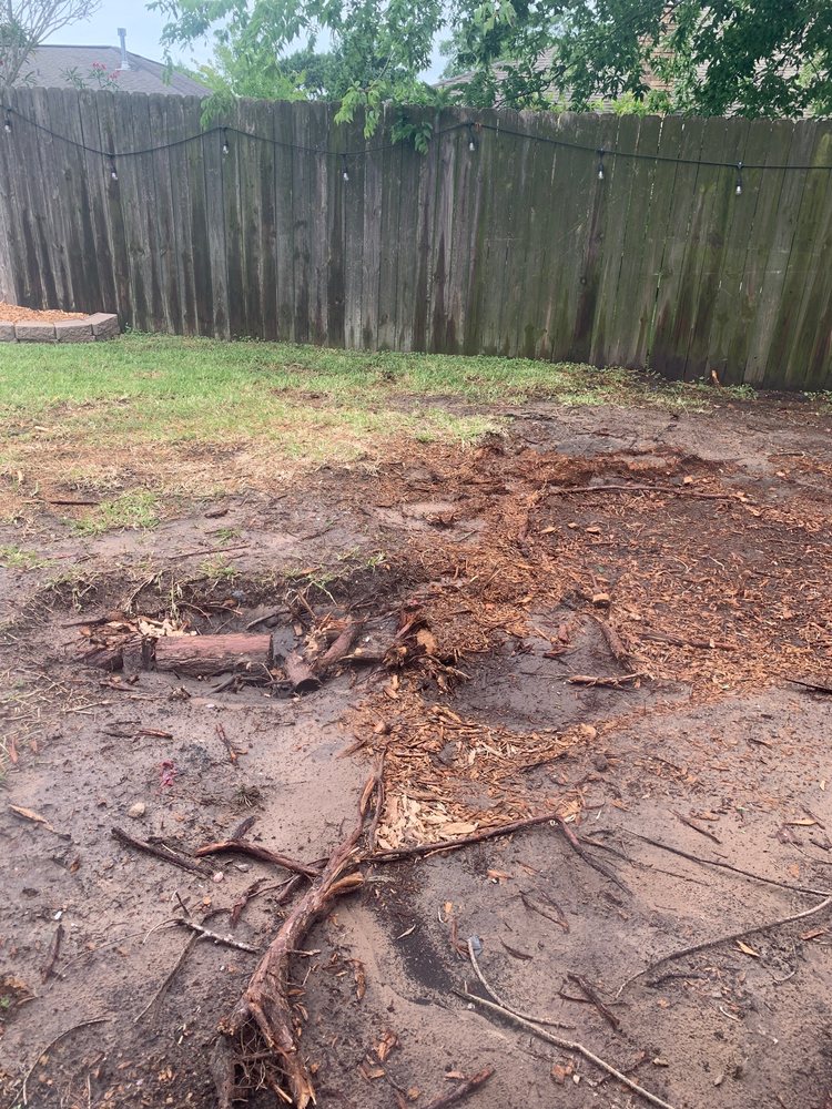 Houston Trees & Fence Service