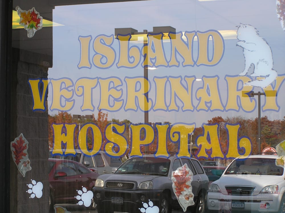 Island Veterinary Hospital Veterinarians 1850 Route 112, Coram, NY
