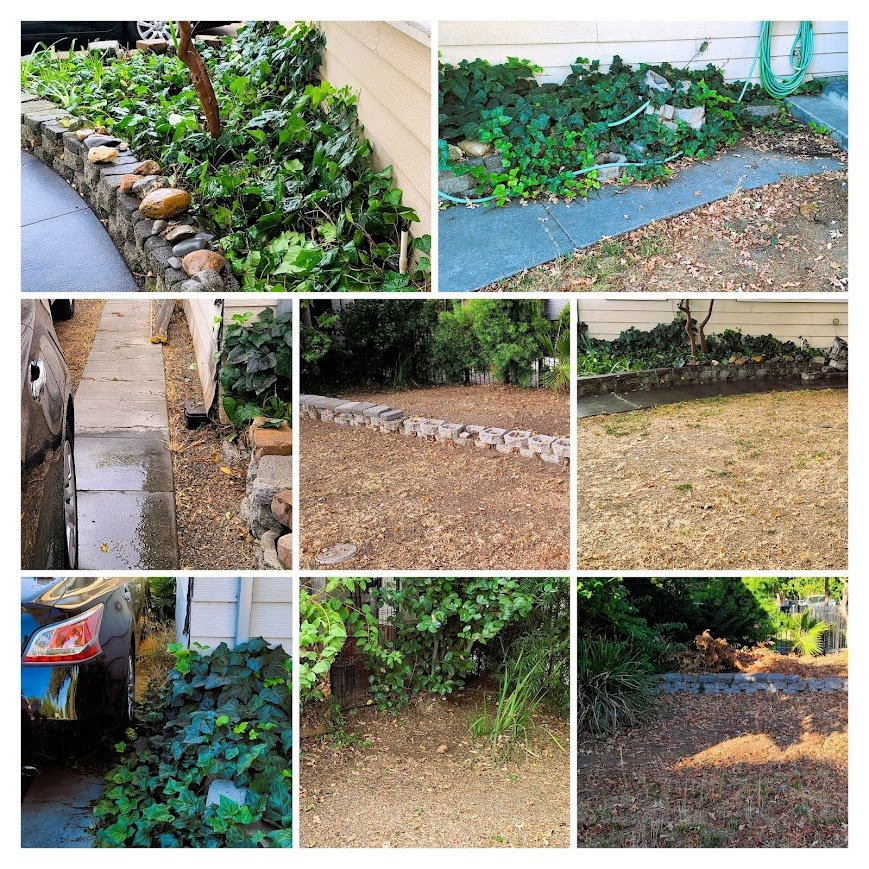Always green lawn care