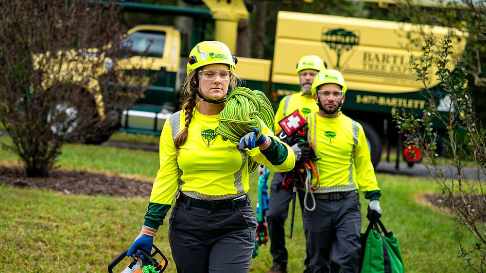Bartlett Tree Experts - Imperial